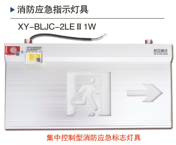 集中電源集中控制型消防應(yīng)急標(biāo)志燈具-吊掛式